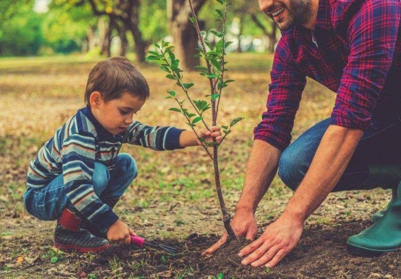 با این ۱۰ روش به فرزندان خود رفتار دوستانه‌تر با محیط زیست را بیاموزیم