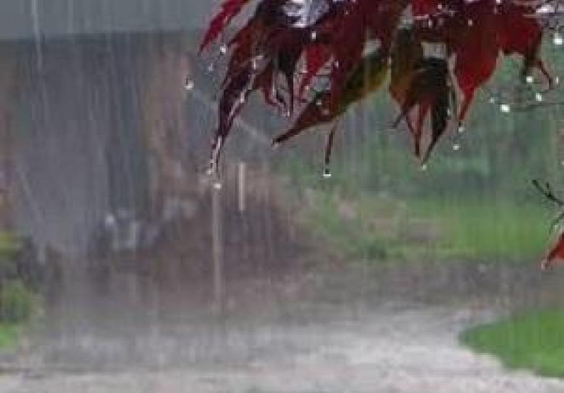 بارش های رگباری در راه است / ثبت ۶۷.۲ میلیمتر بارندگی در بندرعباس