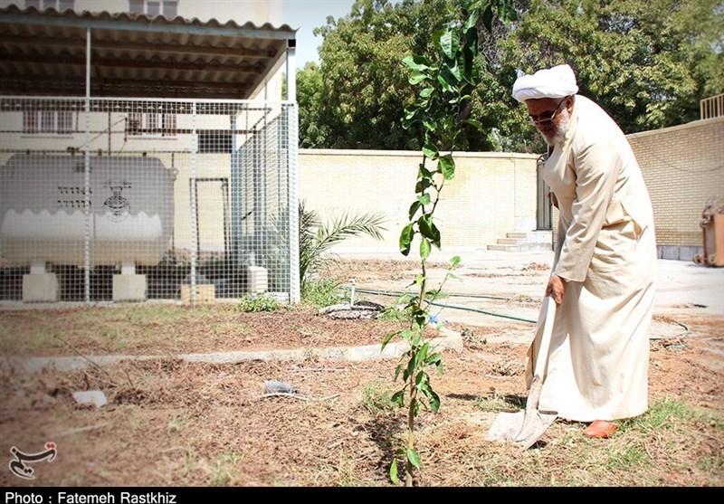 نماینده‌ ولی فقیه در استان هرمزگان: درختان مثمر همچون نارنج در سطح شهرها کشت شود