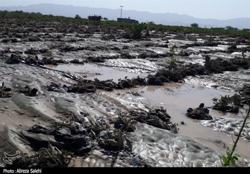 گزارش تصویری| روایت تسنیم از خسارت‌های سیل در رودان