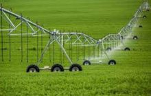 مدیریت مصرف آب در بخش کشاورزی جدی تر گرفته شود
