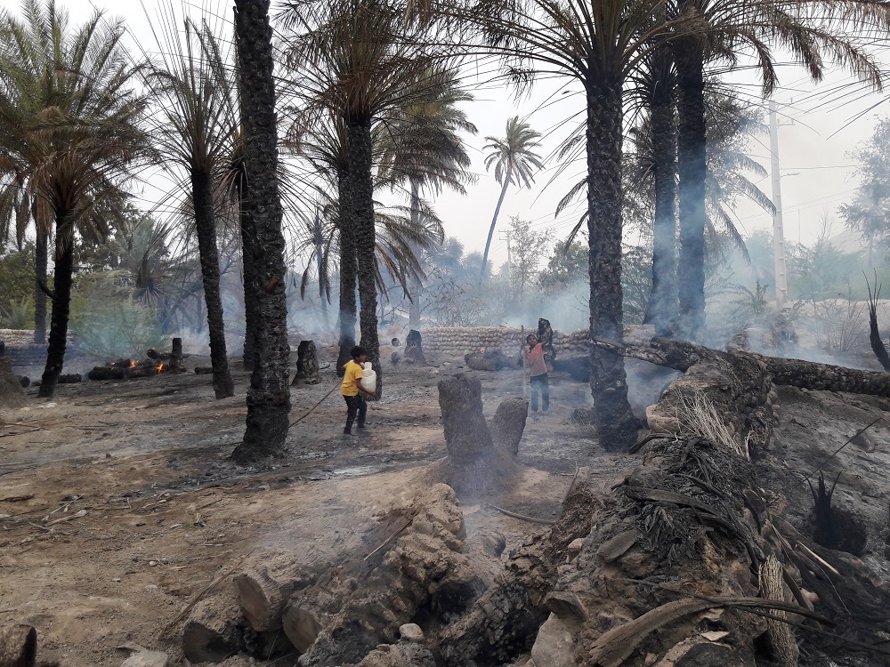 آتش‌سوزی ۵۱ میلیارد ریال به کشاورزان سیاهو بندرعباس خسارت وارد کرد