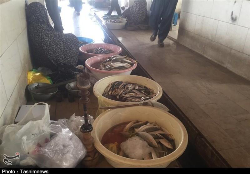 وقتی ماهی‌فروشان میناب از بازار بهداشتی ماهی استقبال نمی‌کنند+تصویر
