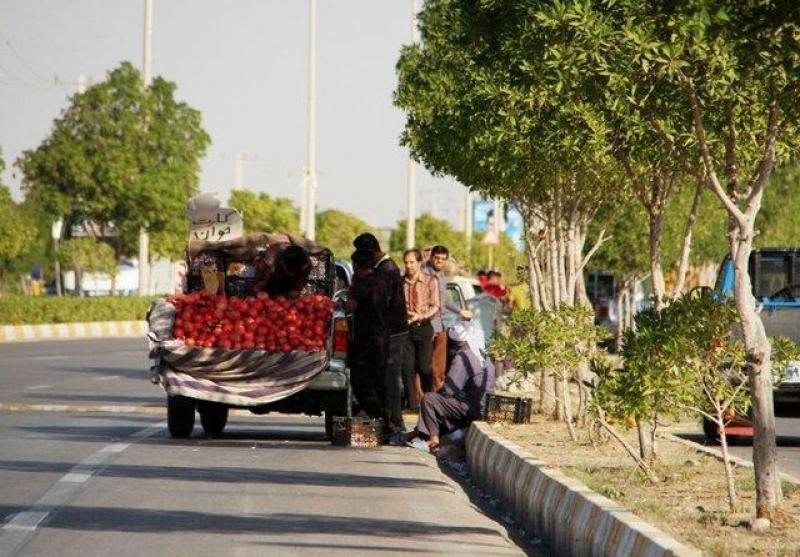 خودروهای میوه‌فروش در بندرعباس جمع‌آوری می‌شوند