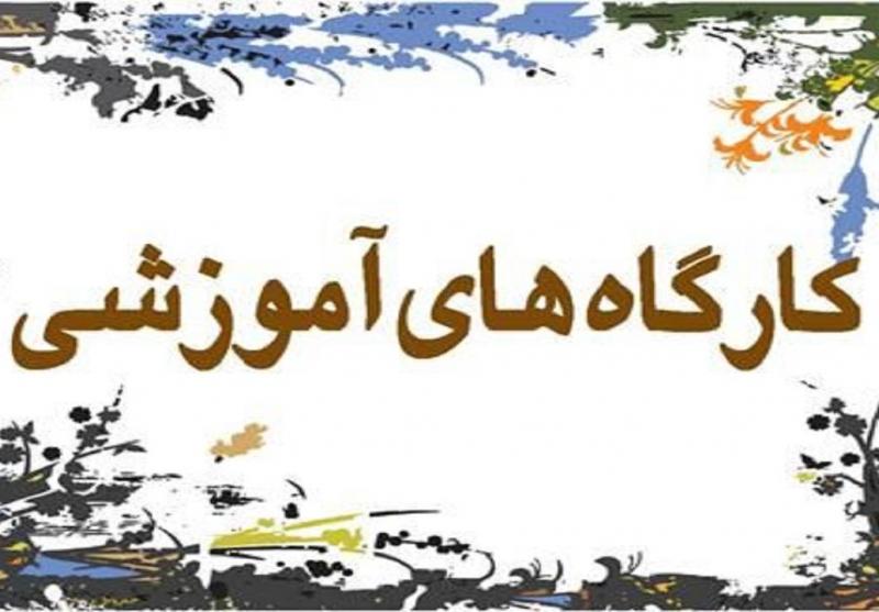 مشارکت ۱۰ هزار فرهنگی خراسان حنوبی در دوره آموزشی تربیت اجتماعی
