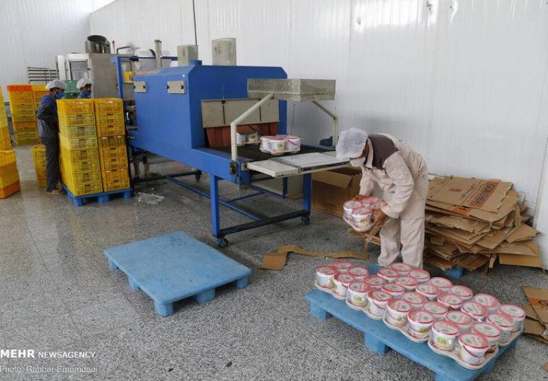 تصاویر: کارخانه کوچک تولید لبنیات در ایران